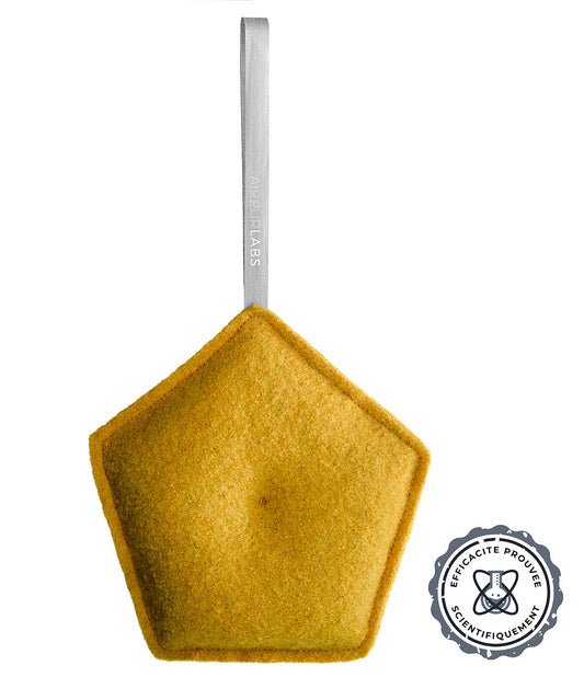 Purificateur d'air Ecologique Breveté® pour surface 12 m2 (30m3)