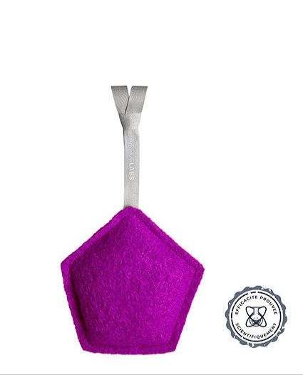 Purificateur d'air Ecologique Breveté® pour surface 4 m2 (10m3)