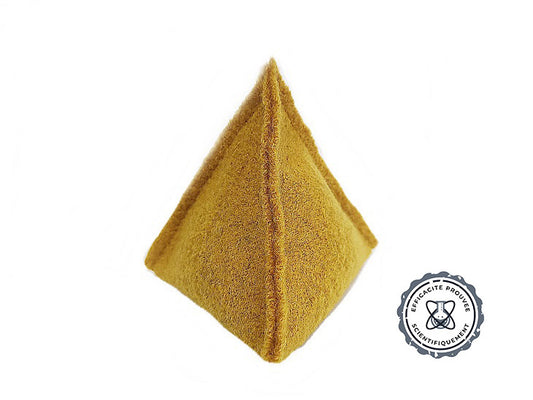 Purificateur d'air Ecologique Pyramide Breveté® pour surface 4 m2 (10 m3)