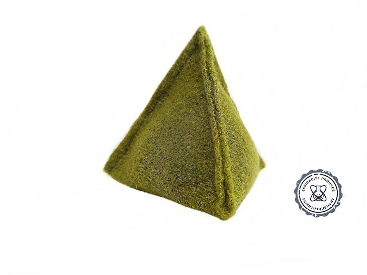 Purificateur d'air Ecologique Pyramide Breveté® pour surface 4 m2 (10 m3)