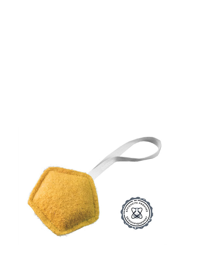 Purificateur d'air pour voiture